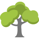Anacortes Tree Removal