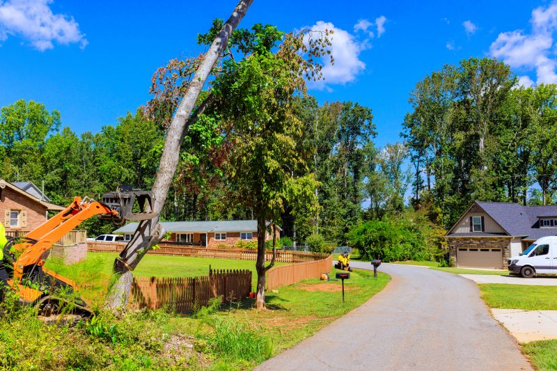 Contact About Tree Removal